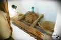images/Cortijo/ElCortijo_15.jpg